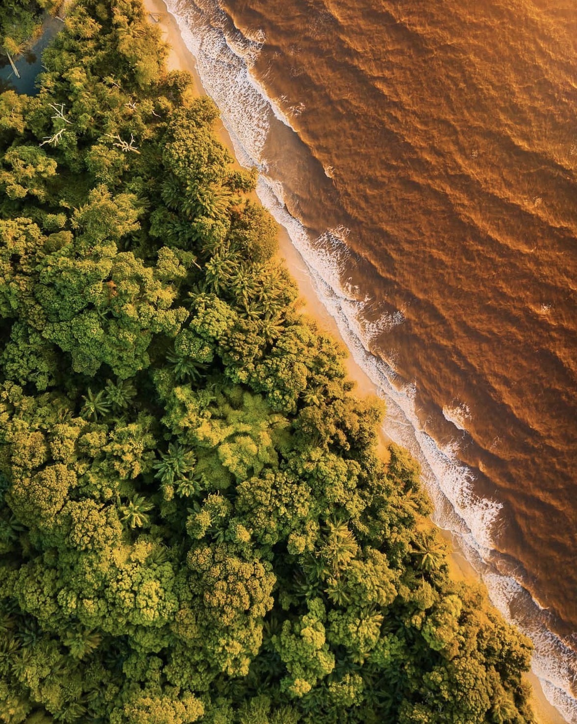 Costa de Cogo. Río Muni