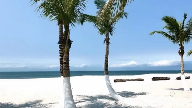 Isla de Corisco